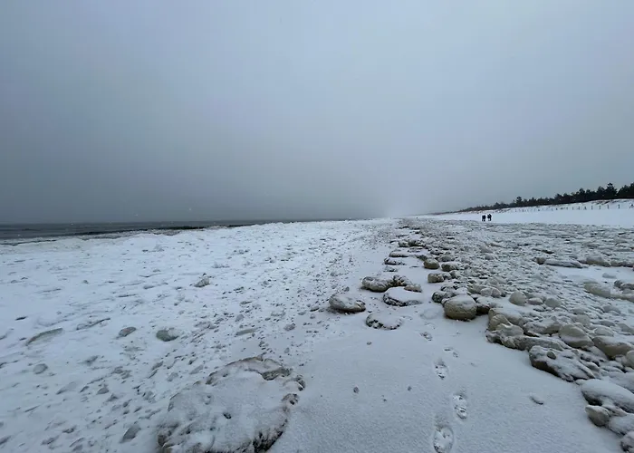 Baltic Line Morska Bryza