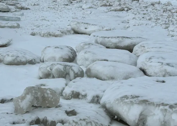 Baltic Line Morska Bryza