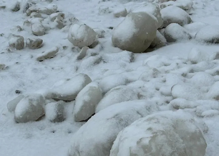 Baltic Line Morska Bryza Gdańsk