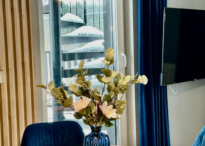 Baltic Line Morska Bryza 아파트