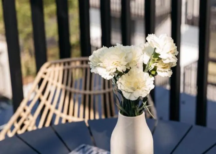 Baltic Line Morska Bryza *